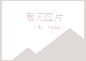 福建山柳化学有限公司